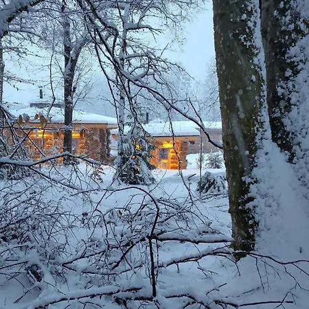 Waldhauslodge Chalet *