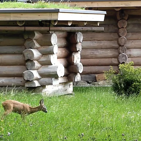 Waldhauslodge *