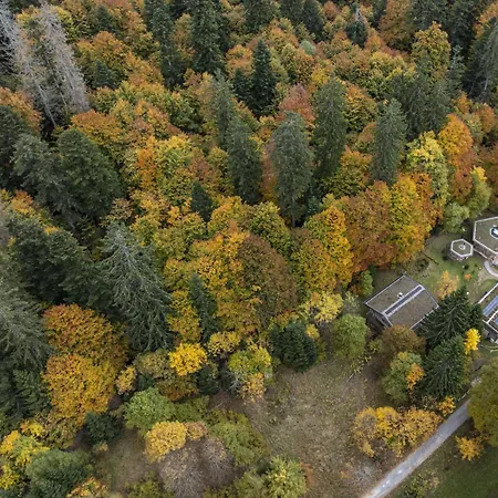 Waldhauslodge Chalet